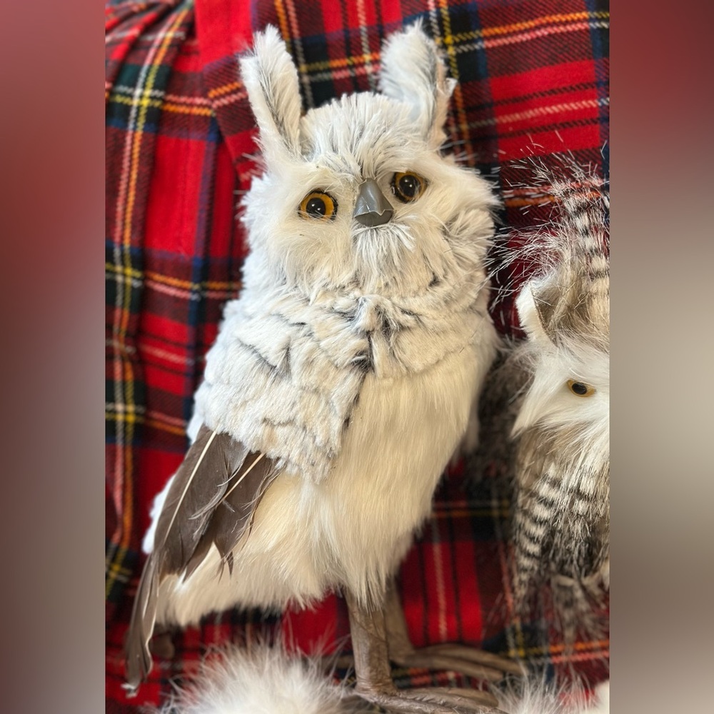 9 feathery owls. I’ve had them all standing. Woodsy and delicate. Variety pack.